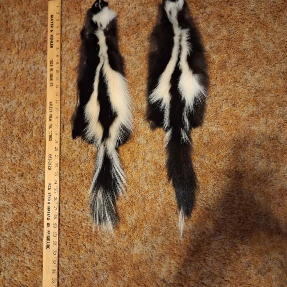 SKUNK FUR PELTS